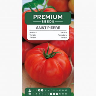 Pomidor Saint Pierre – typ malinowy - 200 nasion