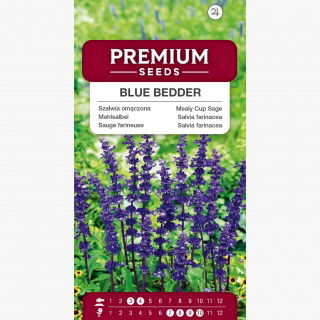 Szałwia omączona o kwiatach ciemnoniebieskich - 160 nasion