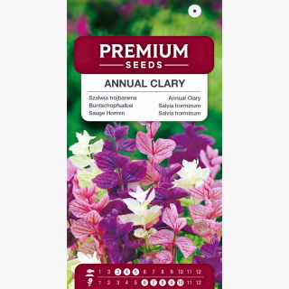 Szałwia trójbarwna - mix kolorów - 200 nasion