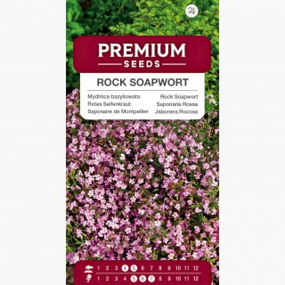 Mydlnica bazyliowata - 450 nasion