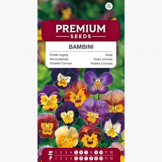 Fiołek rogaty Bambini - mieszanka - 270 nasion