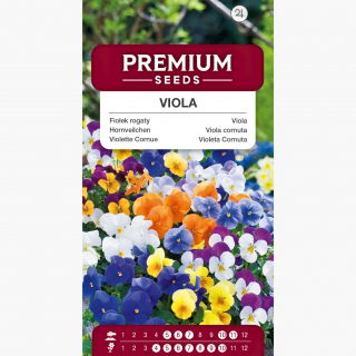 Fiołek rogaty - mieszanka - 240 nasion