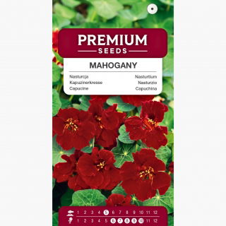 Nasturcja niska - Mahogany Jewel - 40 nasion