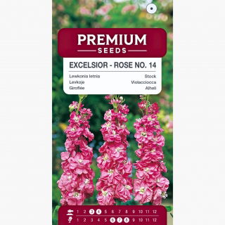 Lewkonia letnia Excelsior różowa - 300 nasion