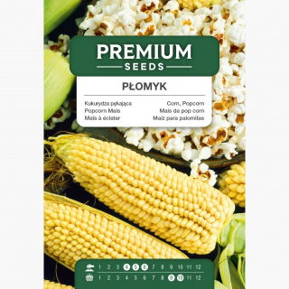 Kukurydza pękająca Płomyk - 200 nasion