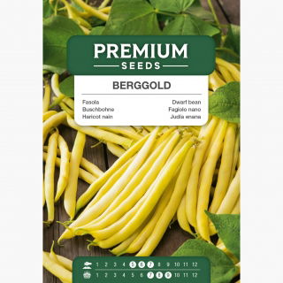 Fasola Berggold - szparagowa karłowa żółta - 200 nasion