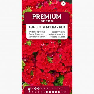 Werbena ogrodowa czerwona - 120 nasion