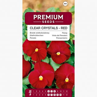 Bratek wielkokwiatowy - czerwony - 400 nasion