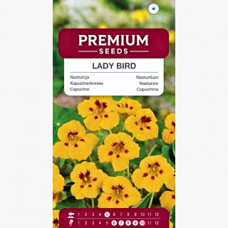 Nasturcja niska - Lady Bird - 24 nasion