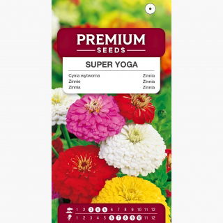 Cynia wytworna Super Yoga - wielkokwiatowa - 120 nasion