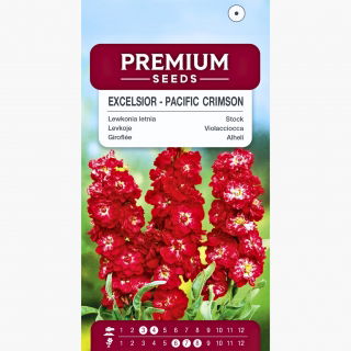 Lewkonia letnia Excelsior czerwonowiśniowa - 300 nasion