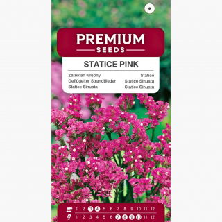 Zatrwian wrębny różowy - 105 nasion