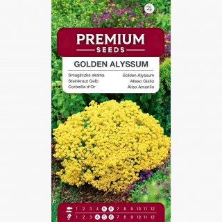 Smagliczka skalna - 500 nasion