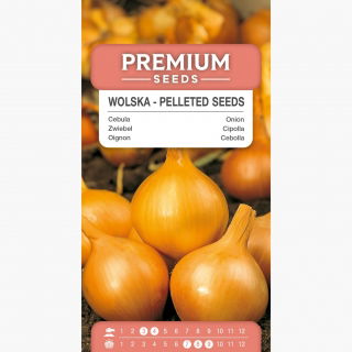 Cebula Wolska – nasiona otoczkowane - 200 nasion