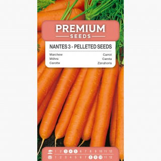 Marchew Nantes 3 (Nantejska) - średnio wczesna - NASIONA OTOCZKOWANE - 400 nasion