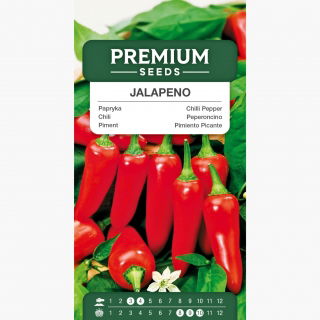Papryka Jalapeno - bardzo ostra, czerwona - 85 nasion