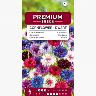 Chaber bławatek niski - mieszanka - 220 nasion