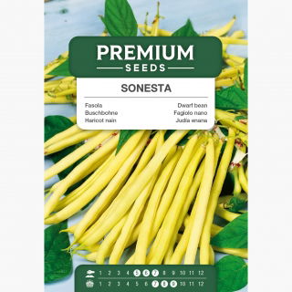 Fasola Sonesta - szparagowa żółta, bardzo smaczna i odporna - 250 nasion