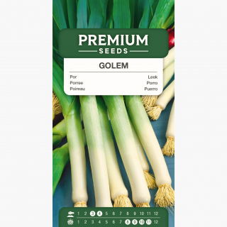 Por Golem - odporny na chłody, wyrazisty smak i aromat - 320 nasion