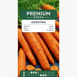 Marchew Karotina - wczesna, słodka, o zwiększonej zawartości karotenu - 4250 nasion