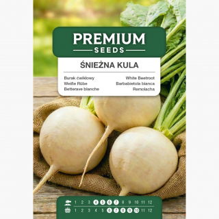 Burak ćwikłowy Śnieżna Kula - odmiana o białym korzeniu - 500 nasion
