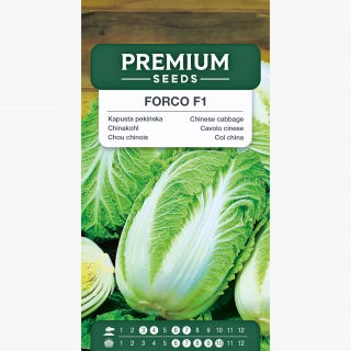 Kapusta pekińska Forco F1 - wczesna, do uprawy całorocznej - 215 nasion