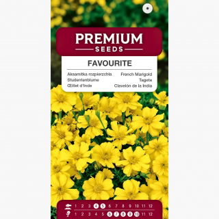 Aksamitka rozpierzchła pojedyncza Favourite