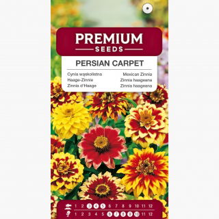 Cynia wąskolistna Persian Carpet - mieszanka