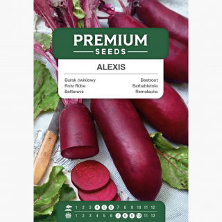 Burak ćwikłowy Alexis - cylindryczny, późny