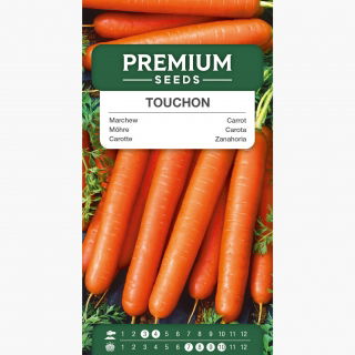 Marchew Touchon - średnio wczesna, można uprawiać w pojemnikach