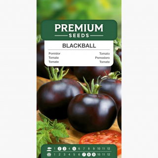 Pomidor Blackball - gruntowy
