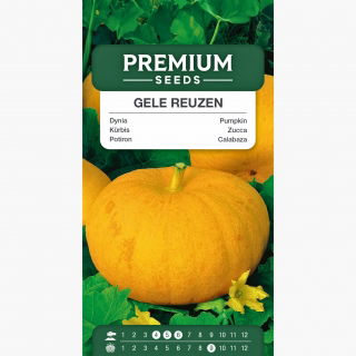 Dynia olbrzymia Gele Reuzen