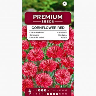 Chaber bławatek czerwony