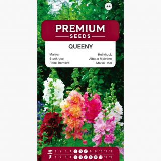 Malwa niska - Queeny