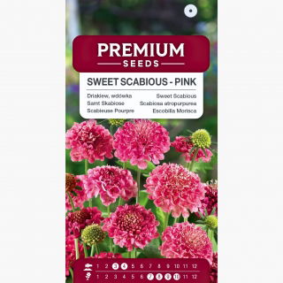 Driakiew, wdówka - różowa