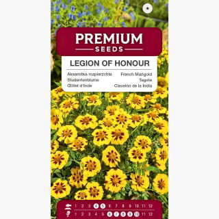 Aksamitka rozpierzchła pojedyncza Legion of Honour