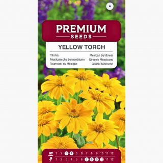 Titonia Yellow Torch - jasnożółta