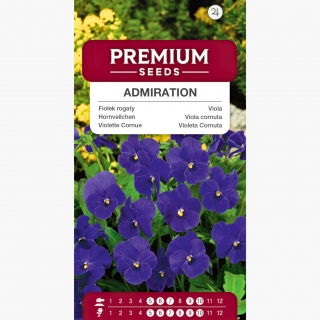 Fiołek rogaty Admiration - fioletowoniebieski