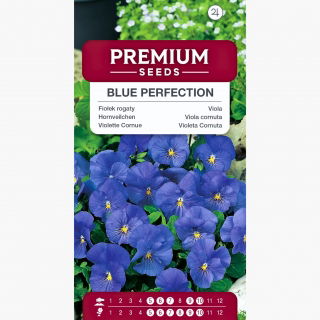 Fiołek rogaty Blue Perfection - błękitny