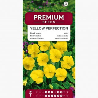 Fiołek rogaty Yellow Perfection