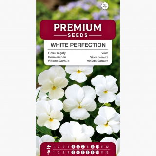 Fiołek rogaty White Perfection