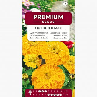 Cynia wytworna daliowa Golden State