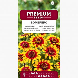 Cynia wytworna Sombrero