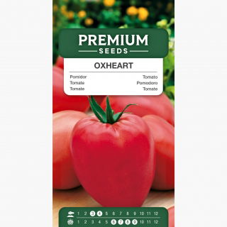 Pomidor Oxheart