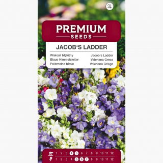 Wielosił błękitny - mieszanka