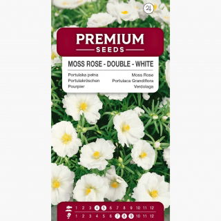 Portulaka pełna - biała