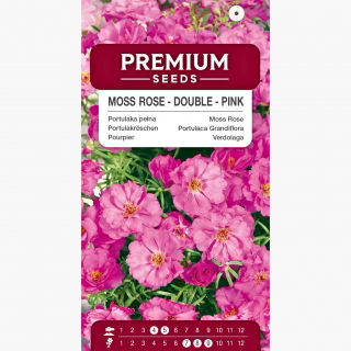 Portulaka pełna - różowa