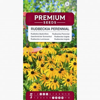 Rudbekia błyskotliwa