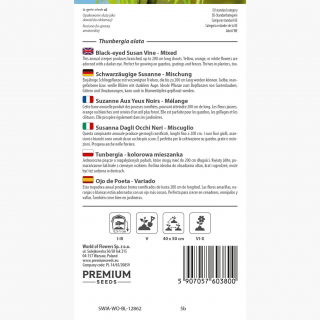 Tunbergia (mieszanka) - 20 nasion