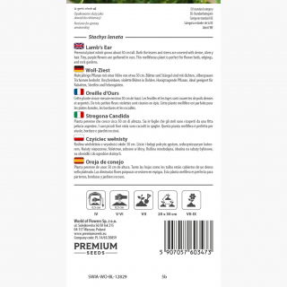 Czyściec wełnisty - 110 nasion